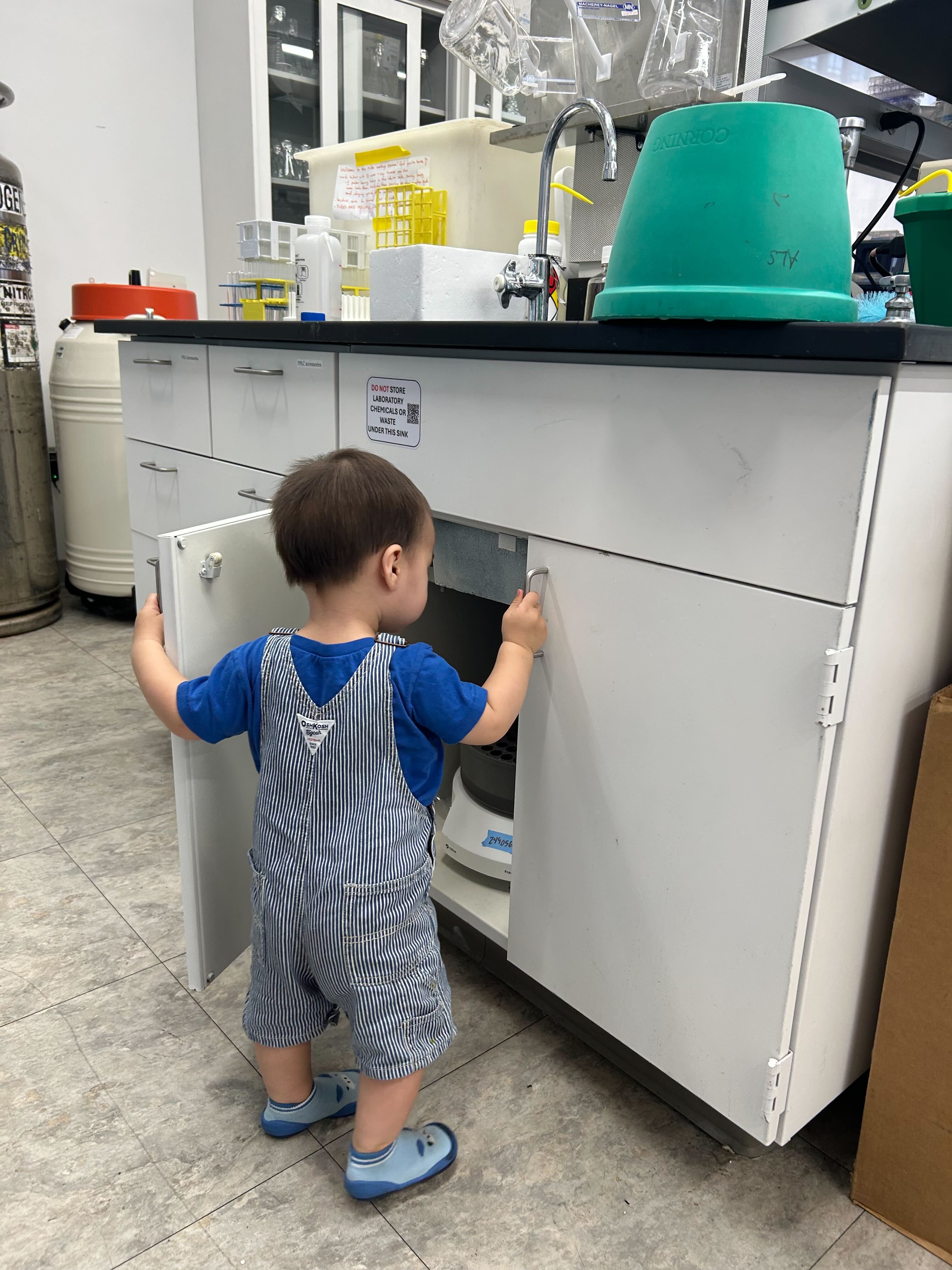 baby inspector