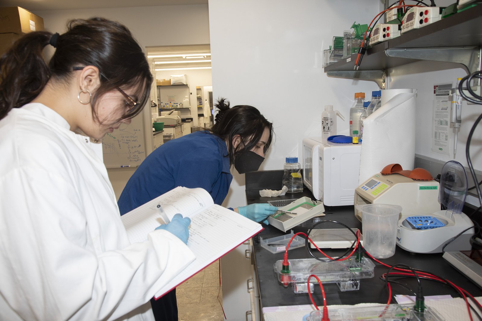 lab bench work